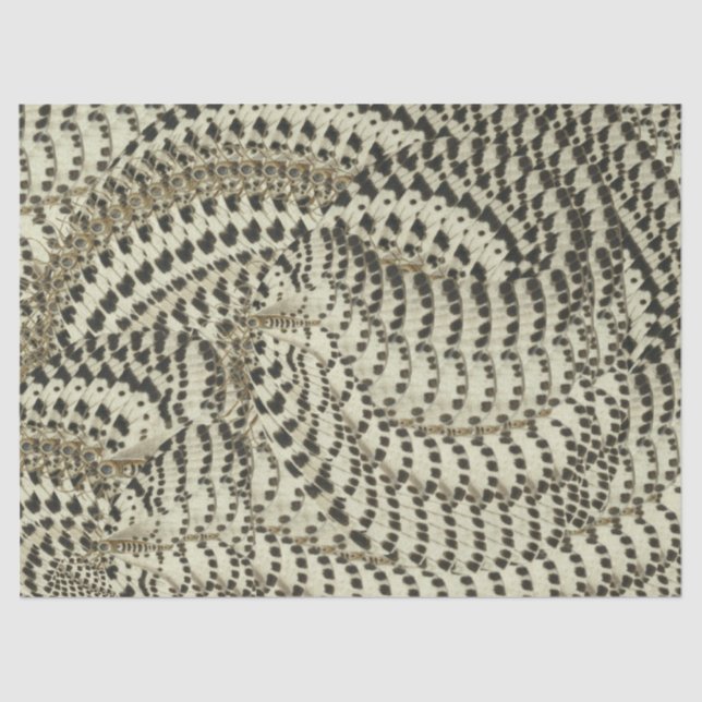 Papel de tejidos de mariposa (Anverso)