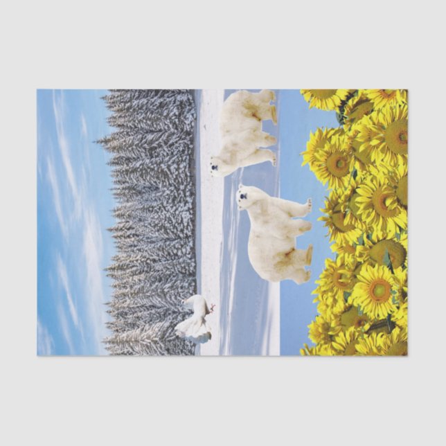 Papel de tejidos de oso polar floral de girasol (Anverso)