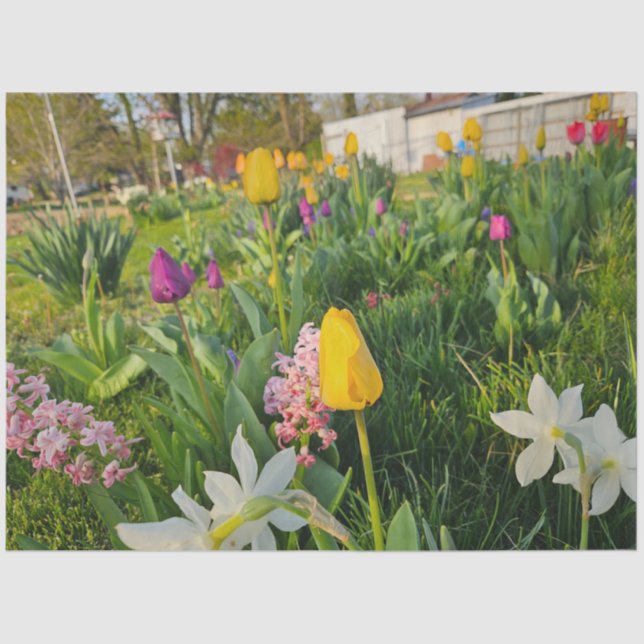 Papel de tejidos de Personalizado floral (Anverso)