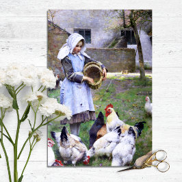 Papel de tejidos de pollo y gallos