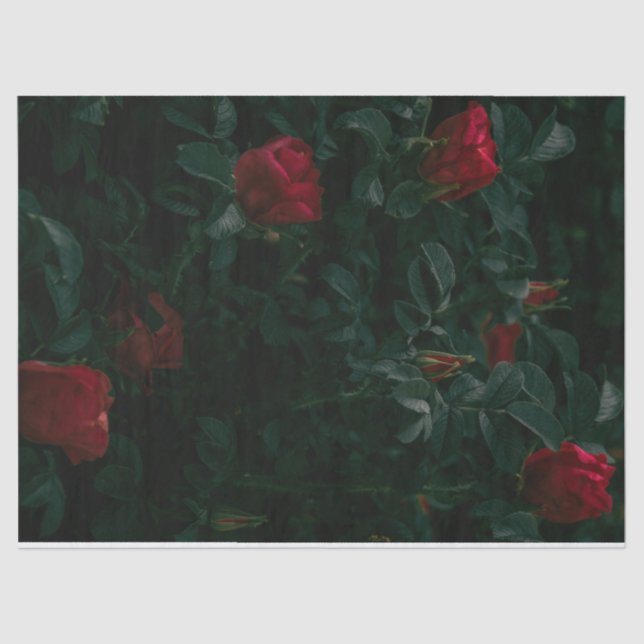 Papel de tejidos de rosas rojas Desnudar Giftwrapi (Anverso)