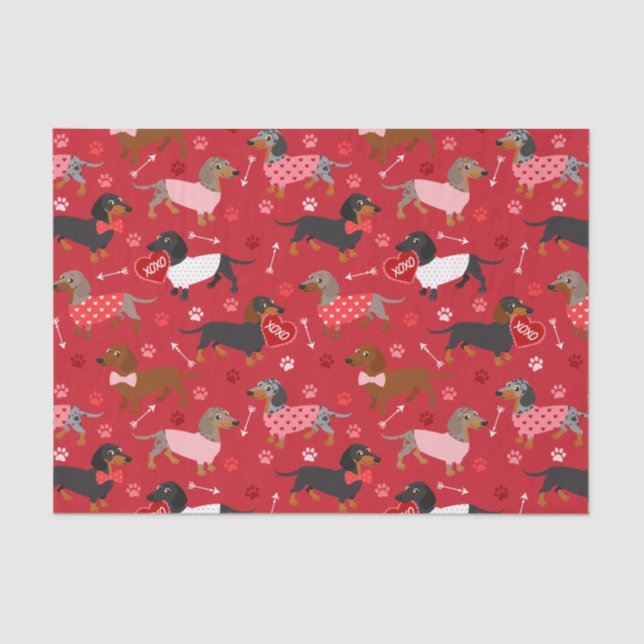 Papel de tejidos de San Valentín Dachshund (Anverso)