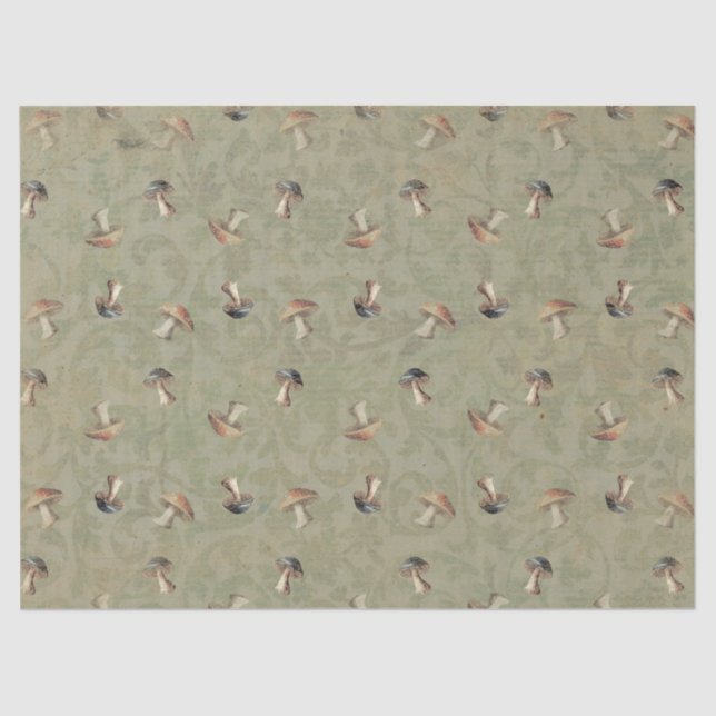 Papel de tejidos de toadstools de la tierra (Anverso)