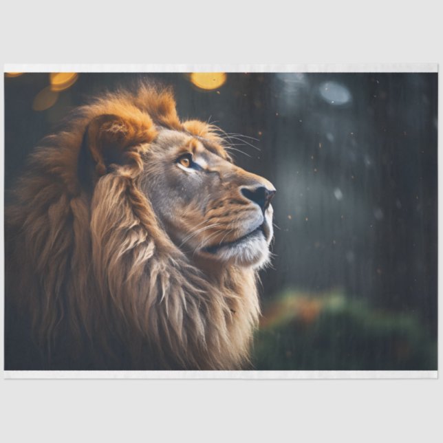 Papel de tejidos de tranquilidad de León (Anverso)