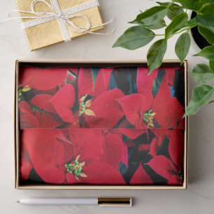 Papel de tejidos de vacaciones - Poinsettias rojas