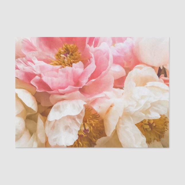 Papel de tejidos elegante rosa y crema (Anverso)