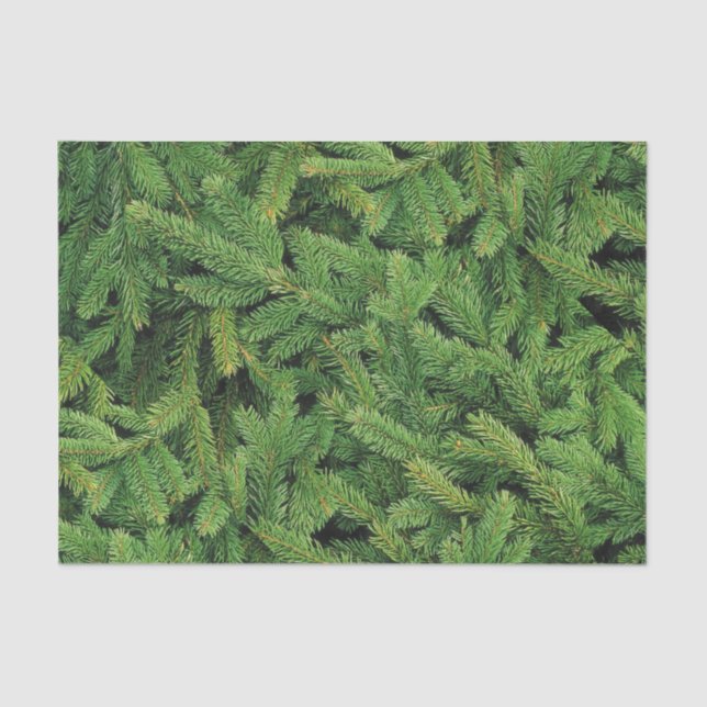 Papel de tejidos en blanco (Anverso)