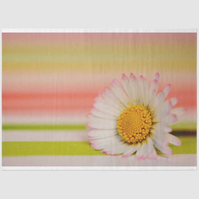 Papel de tejidos florales (Anverso)