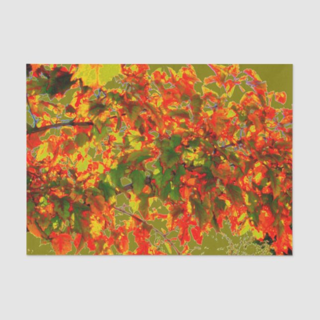 Papel de tejidos "Fuego de Otoño" (Anverso)