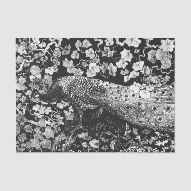 Papel de tejidos NEGRO Y PELO BLANCO (Anverso)