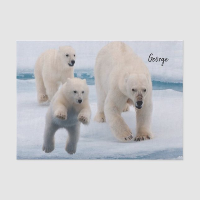 Papel de tejidos oso polar (Anverso)