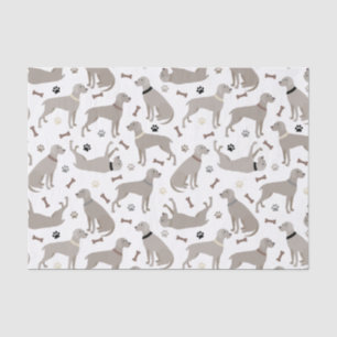 Papel de tejidos para huesos y patas de Weimaraner
