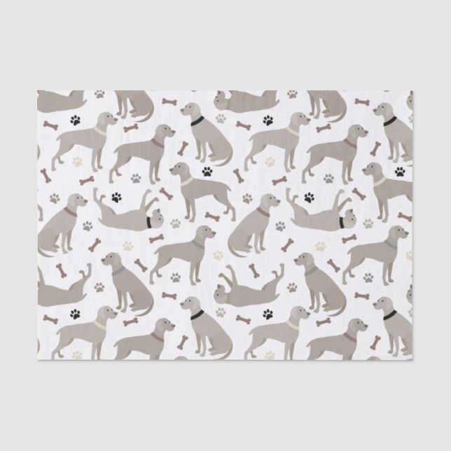 Papel de tejidos para huesos y patas de Weimaraner (Anverso)