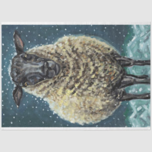 Papel de tejidos para ovejas de invierno