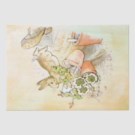 Papel de tejidos Peter Rabbit (zapato)