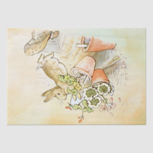 Papel de tejidos Peter Rabbit (zapato)