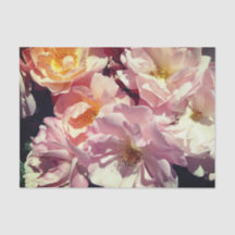 Papel de tejidos Rosa de verano