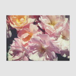 Papel de tejidos Rosa de verano