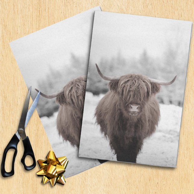 Papel de tejidos rusos para la vaca Highland Scotl (Subido por el creador)