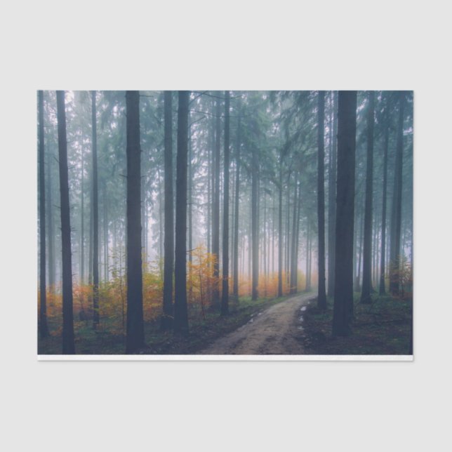 Papel de tema de desunión de rutas forestales 21 (Anverso)