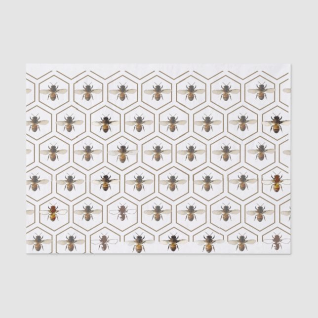 Papel de tocador de Honeycomb Honeybee Bee Beekeep (Anverso)