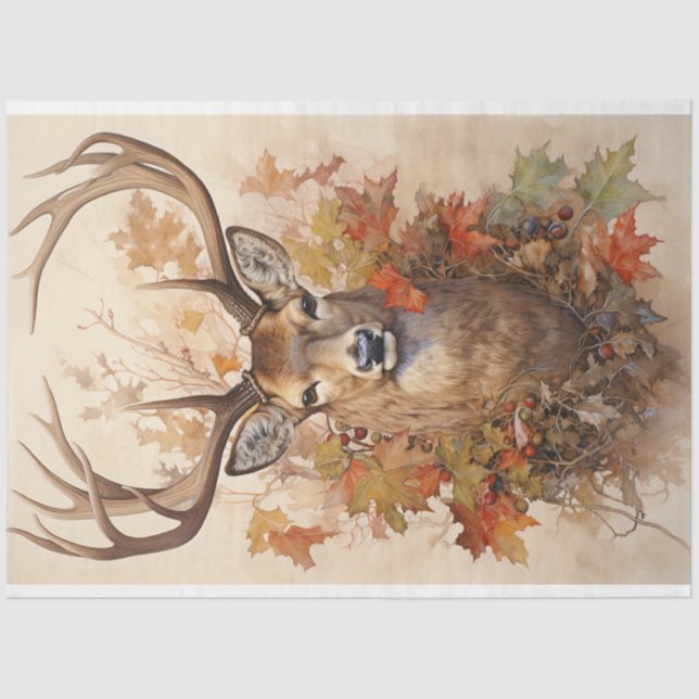 Papel de tono (Anverso)