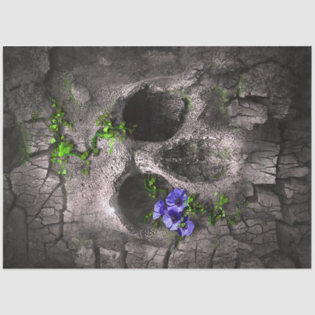 Papel de tono de 12 desconchones para la Rústica d (Anverso)
