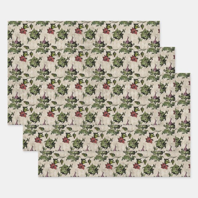 Papel de tono de descomposición de carátula de col (Set)
