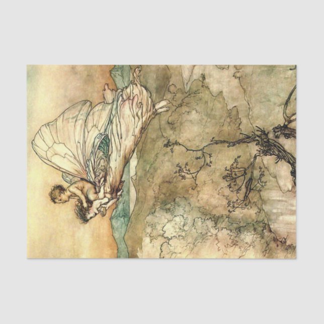 Papel de tono de descomposición de la página de la (Anverso)