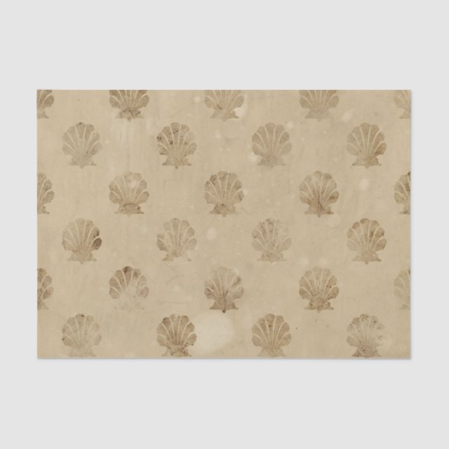 Papel de tono de descomposición de las conchas mar (Anverso)