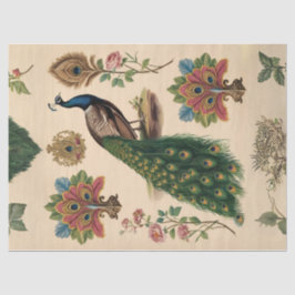 Papel de tono de descomposición de pavo real indiv