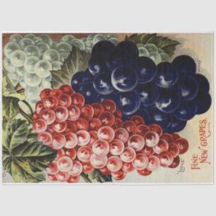 Papel de tono de desconchado de uva Art Nouveau Po