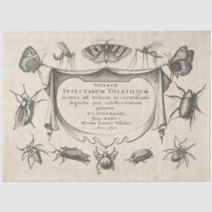 Papel de tono de desconexión de insectos de cosech