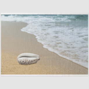 Papel de tono de deshielo de la concha marina de l