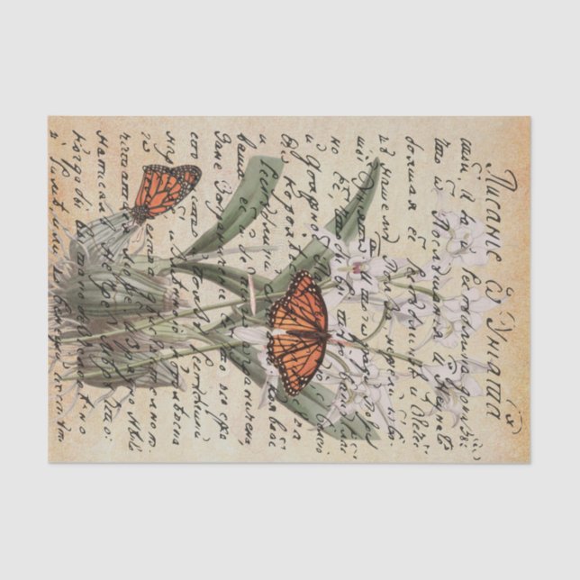 Papel de tono de deshielo de mariposa de guión ant (Anverso)