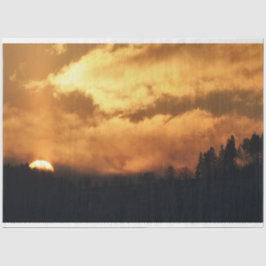 Papel de tono de deshielo del atardecer del bosque