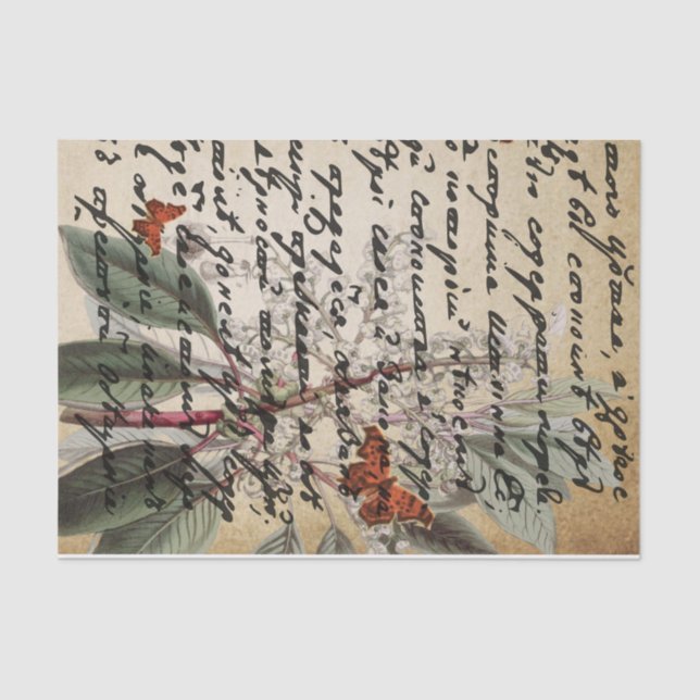 Papel de tono de desunión de mariposa de texto osc (Anverso)