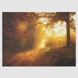 Papel de tono de desunión del otoño forestal 11