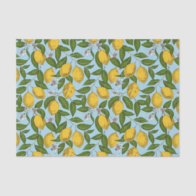 Papel de tono de desvanecimiento de árbol de leone (Anverso)