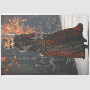 Papel de tono de la moda Fox Runway Show Decoupage