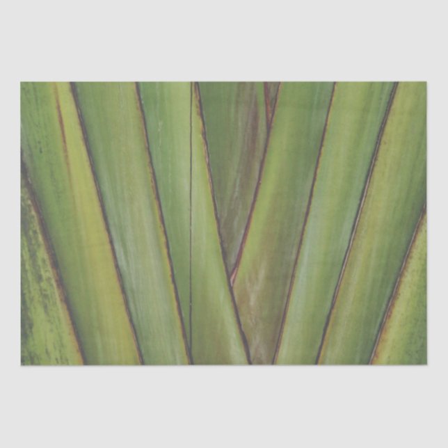 Papel de tono de la palma de viaje (Anverso)