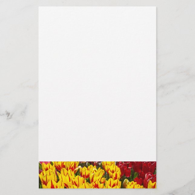 Papel de tulipanes amarillos de primavera (Anverso)