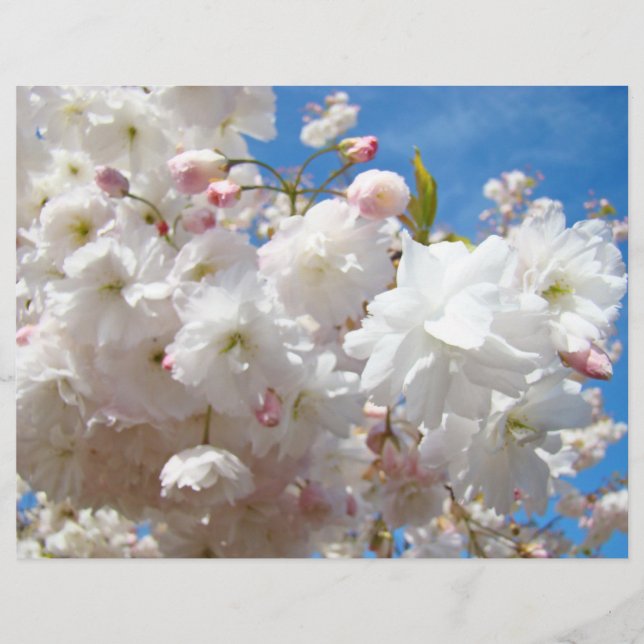 Papel de volantes Crear sus propios florines perso (Frente)