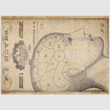 Papel decorativo de muebles apoteados