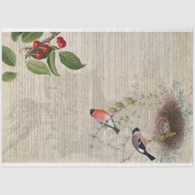 Papel decorativo de muebles patrióticos (Anverso)