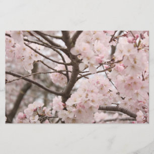 Papel del arte de la flor de cerezo