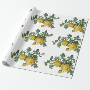 Papel del regalo de la pintura del rosa amarillo