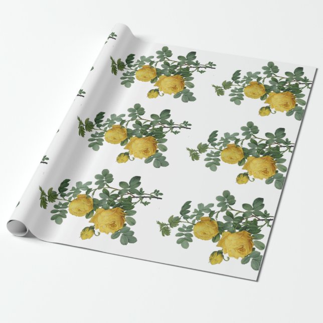 Papel del regalo de la pintura del rosa amarillo (Desenrollado)