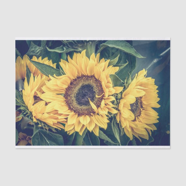 Papel del tapón del girasol (Anverso)