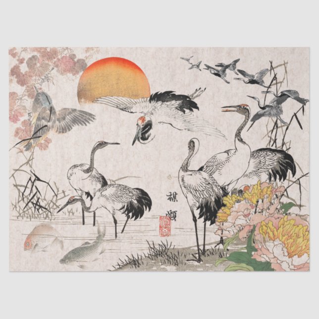 Papel del tejido de cría de aves japonesas Bairei (Anverso)